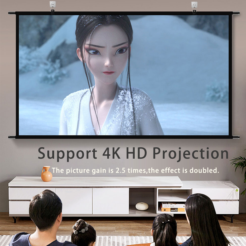 VEIDADZ Projector Screen Wall  - Projector Screen 100 Inch recension och pris